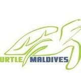 turtlemaldives